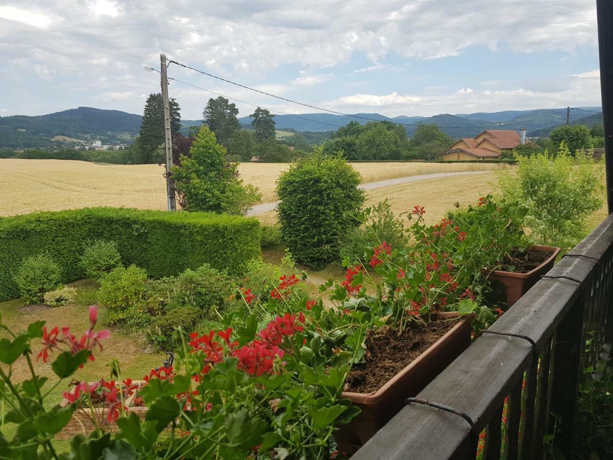 Le Clos Des Aulnes Anould Εξωτερικό φωτογραφία
